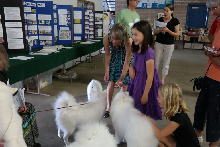 Rochester Minnesota Kennel Club All Breeds Kennel Club